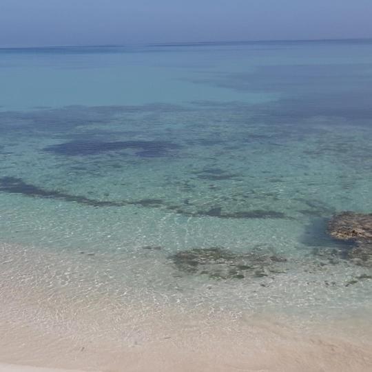 Villa Rosa ปุนตารูเซีย ภายนอก รูปภาพ